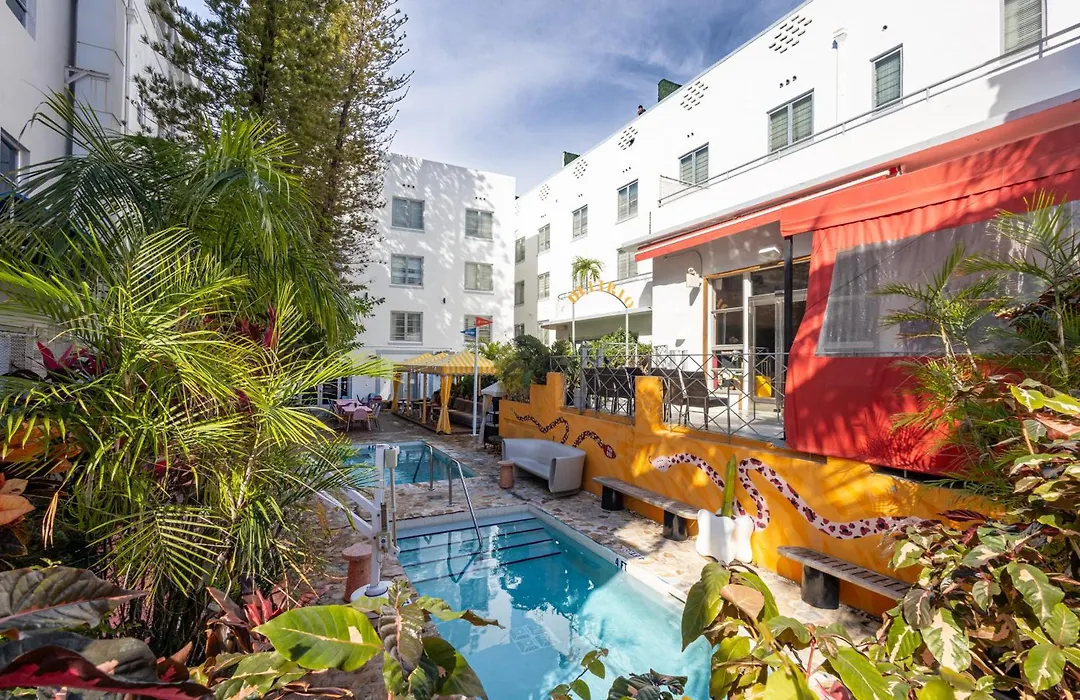 Viajero Miami (Adults Only)-1